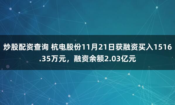 炒股配资查询 杭电股份11月21日获融资买入1516.35万元，融资余额2.03亿元