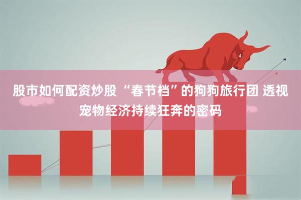 股市如何配资炒股 “春节档”的狗狗旅行团 透视宠物经济持续狂奔的密码